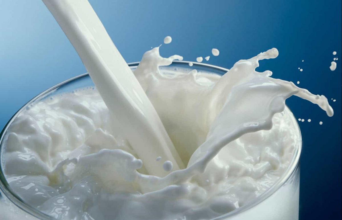 Torta-de-Cebola-com-Bacon-009-Leite