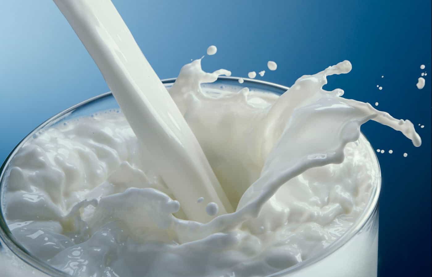 Torta-de-Cebola-com-Bacon-009-Leite