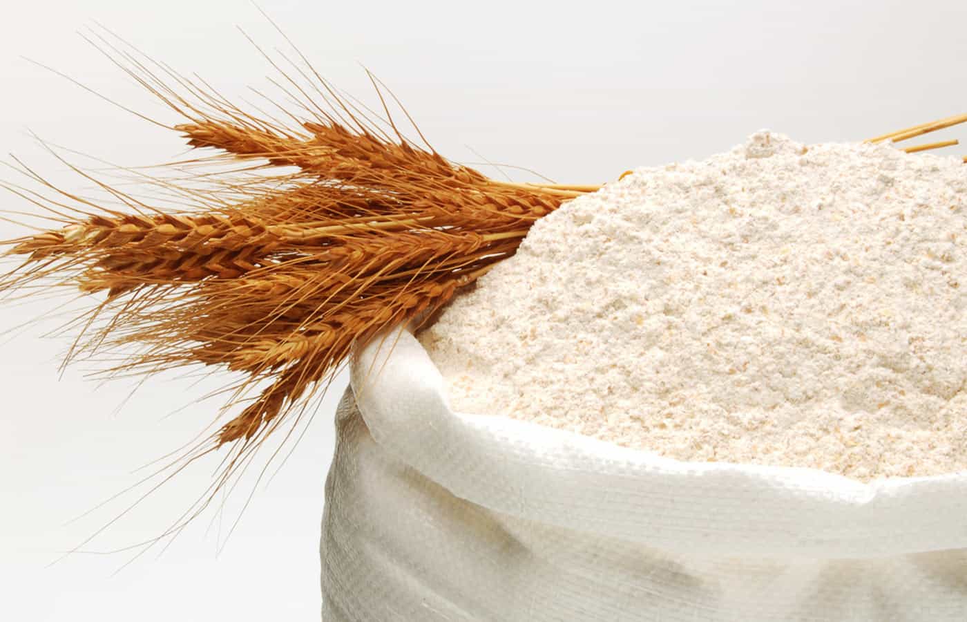 Torta-de-Cebola-com-Bacon-011-Farinha