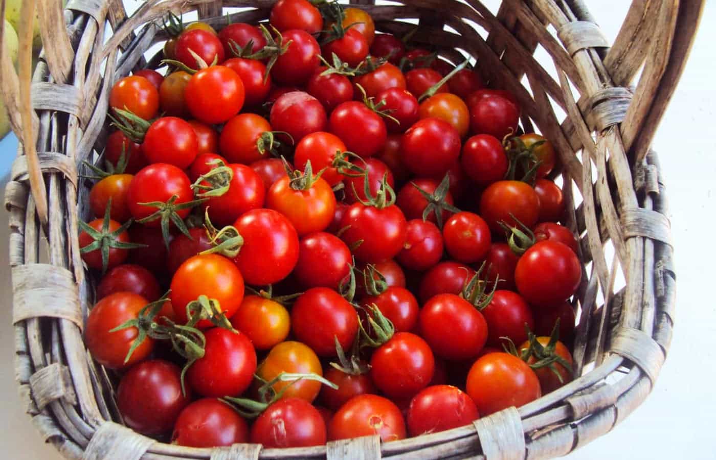 Torta Vegana - 016 - Tomate Cereja