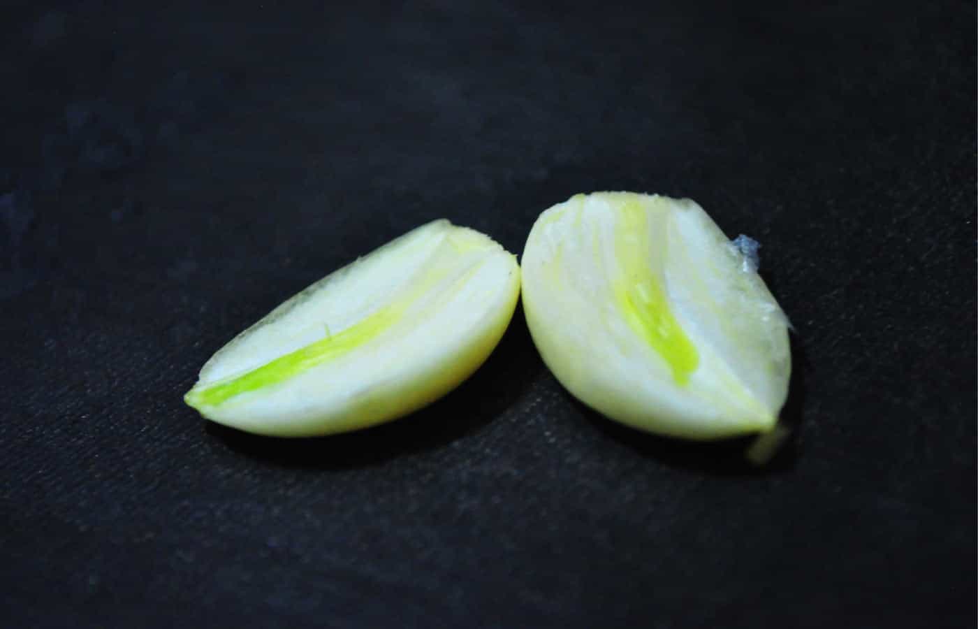 Torta Vegana - 017 - Alho