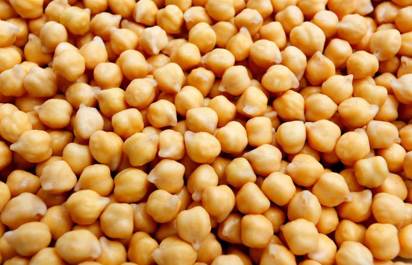 Torta Vegana - 020 - Grão de Bico