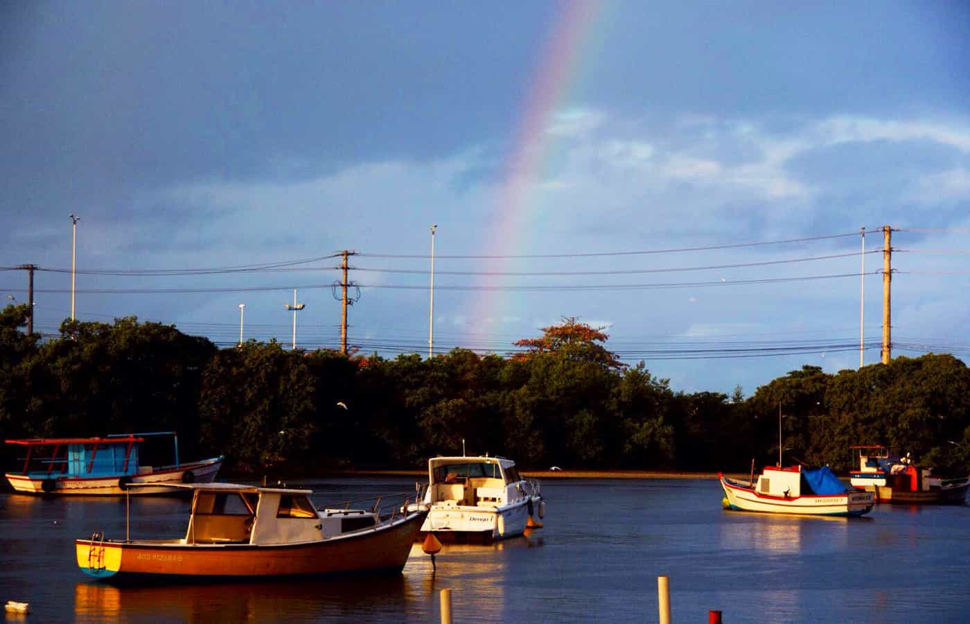 Canto do Vinho - 032