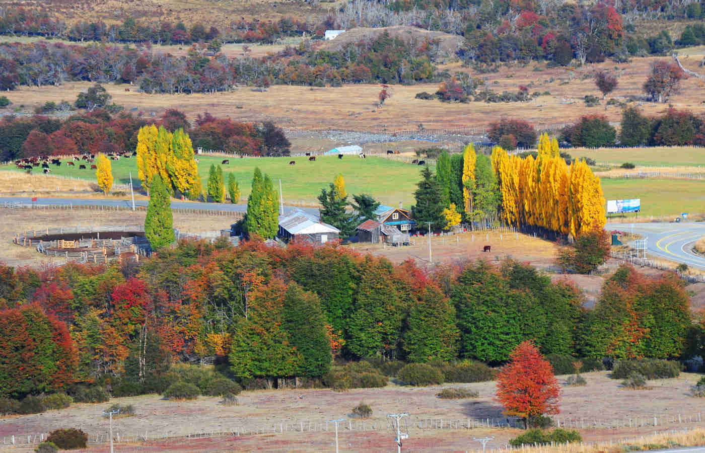 patagoniaindomita_119