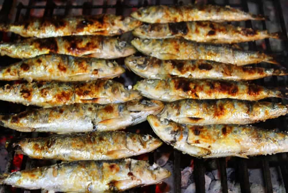 rancho_portugues_017_sardinha_na_brasa