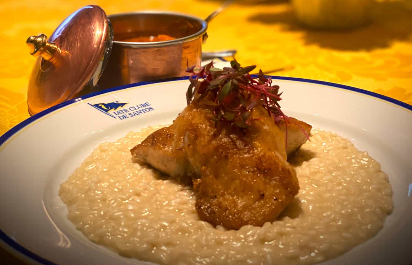 iate_clube_de_santos_031