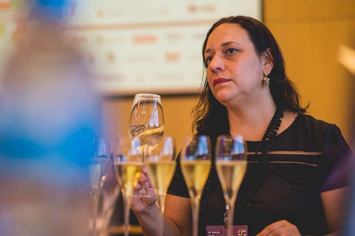 brasil_wine_challenge_ 018