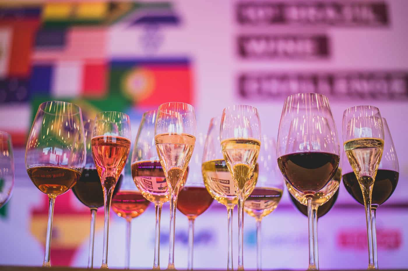 brasil_wine_challenge_ 069