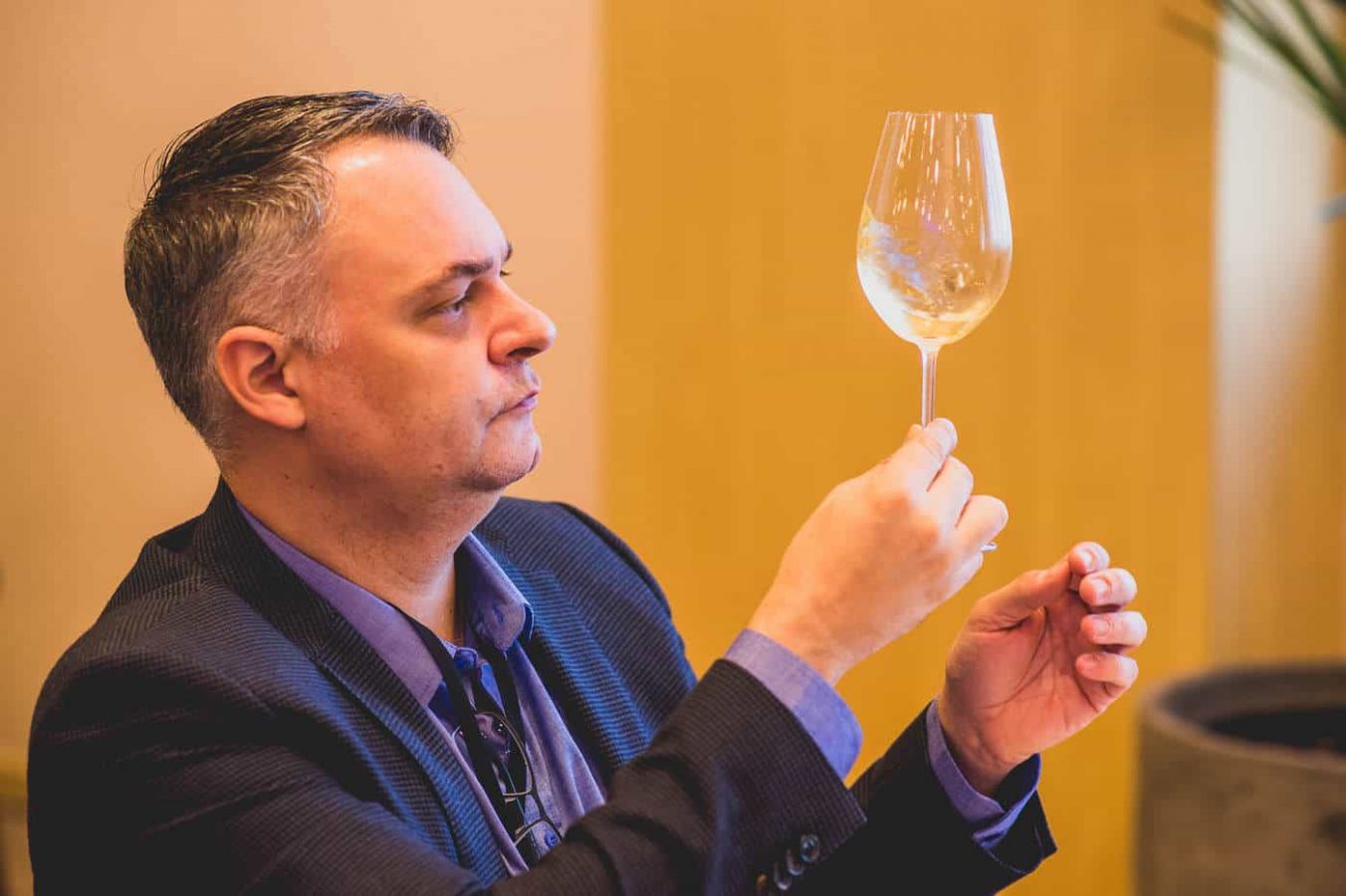 brasil_wine_challenge_ 091