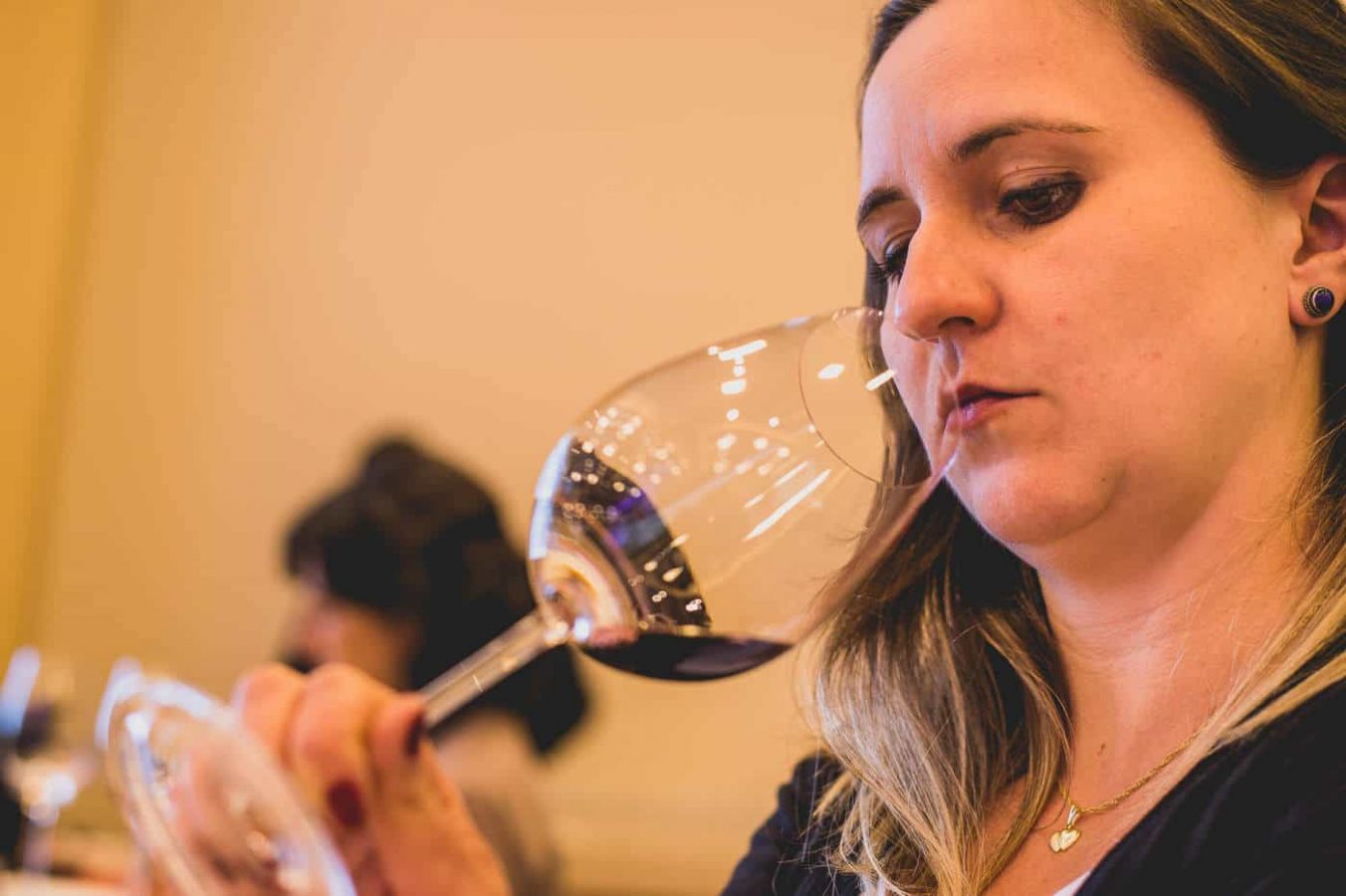 brasil_wine_challenge_ 111