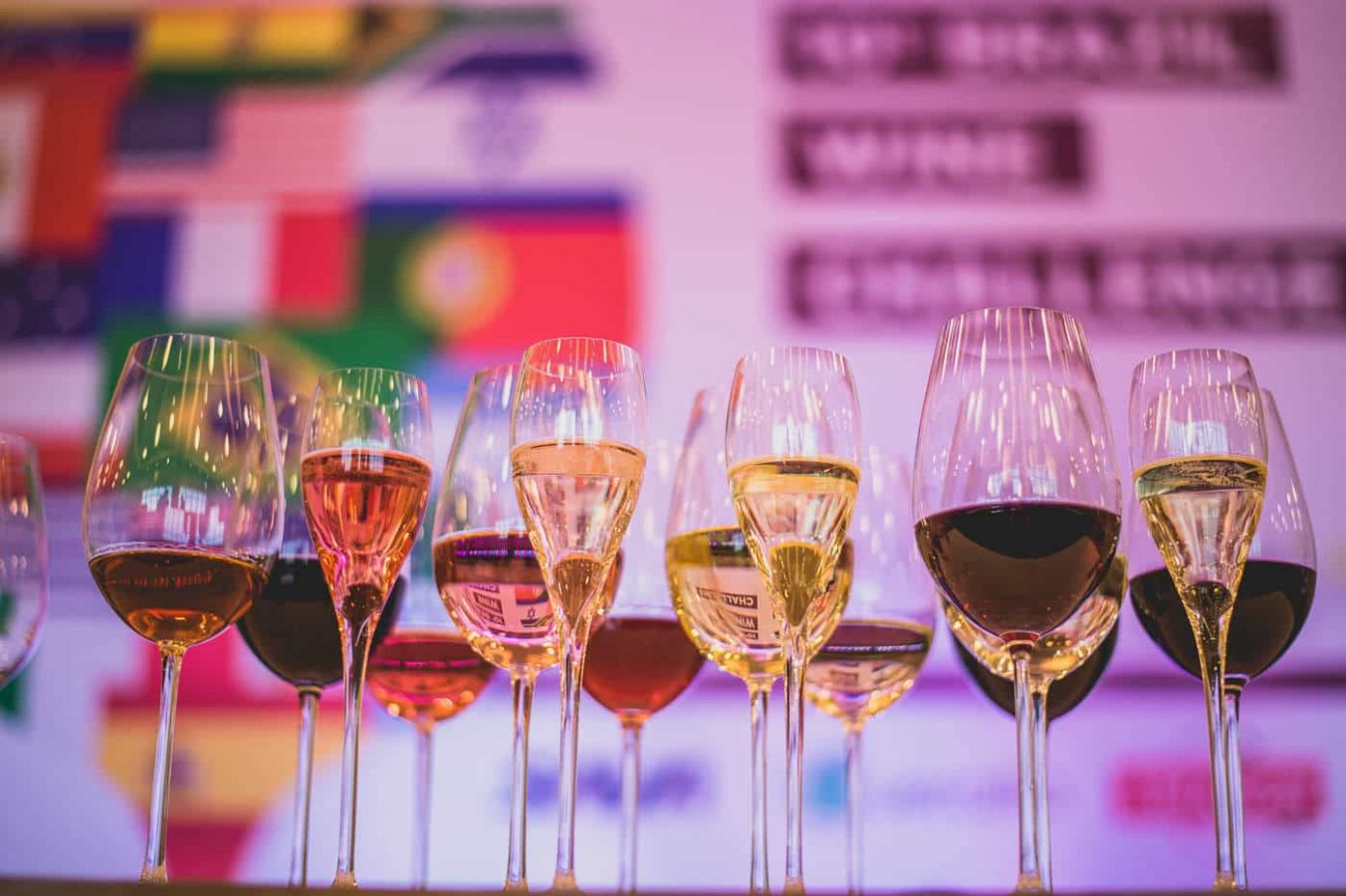 brasil_wine_challenge_ 161