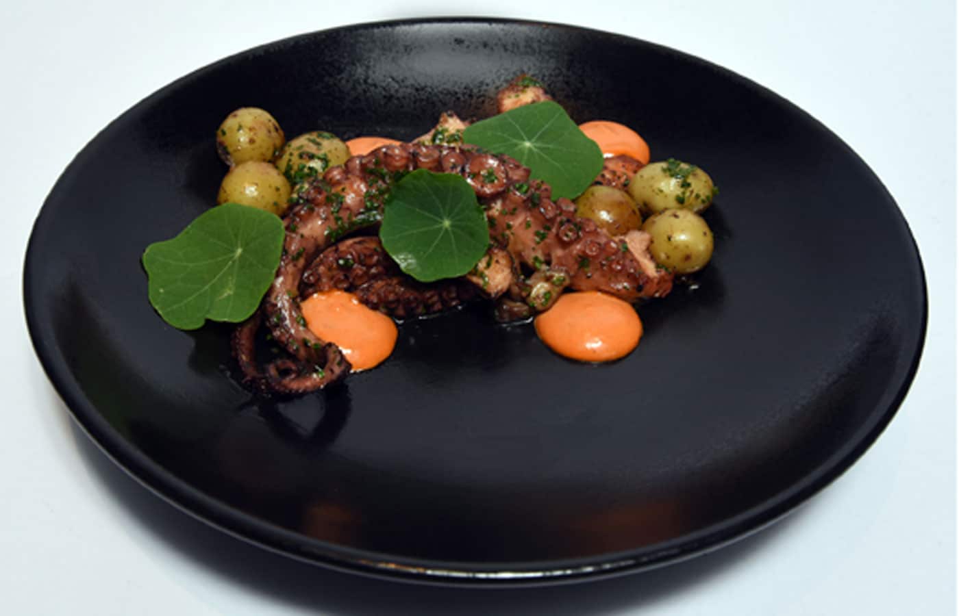 balthazar_011_polvo_na_manteiga