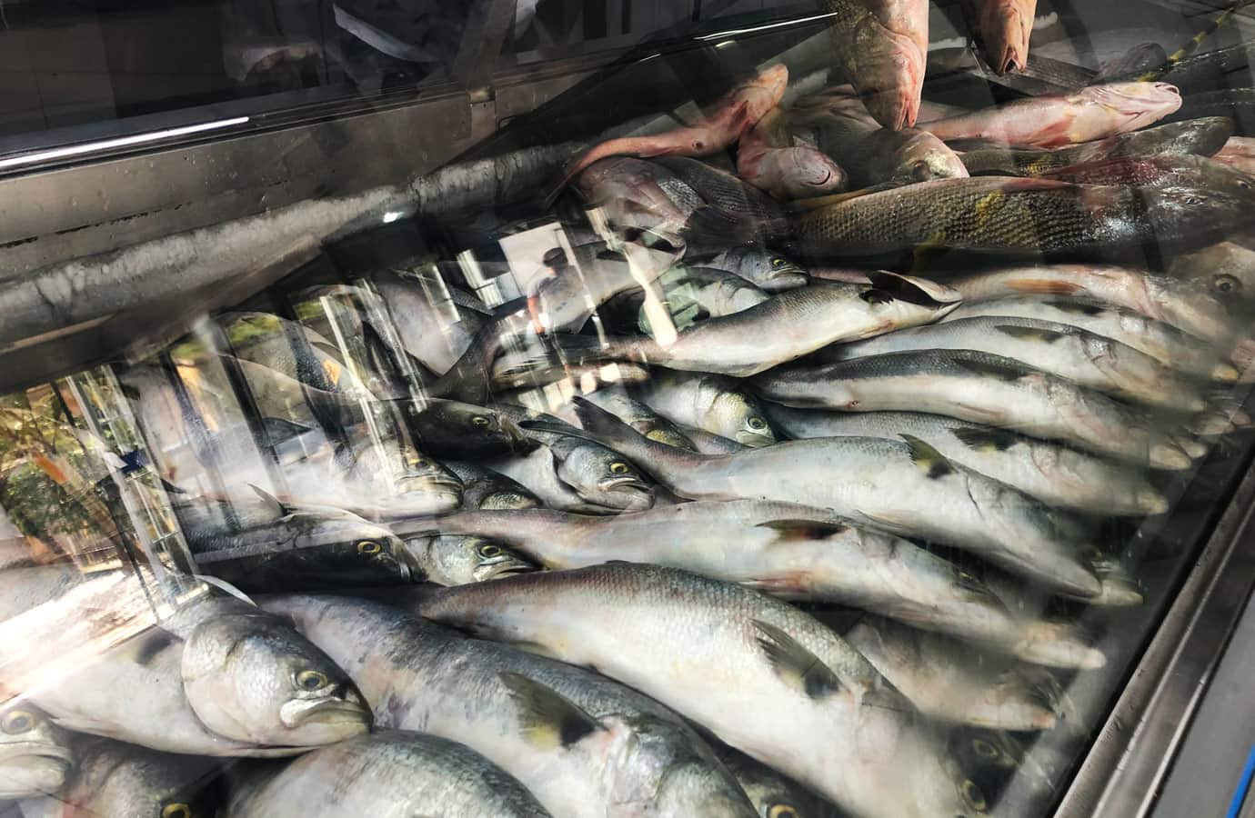 toca_das_ostras_012_peixaria