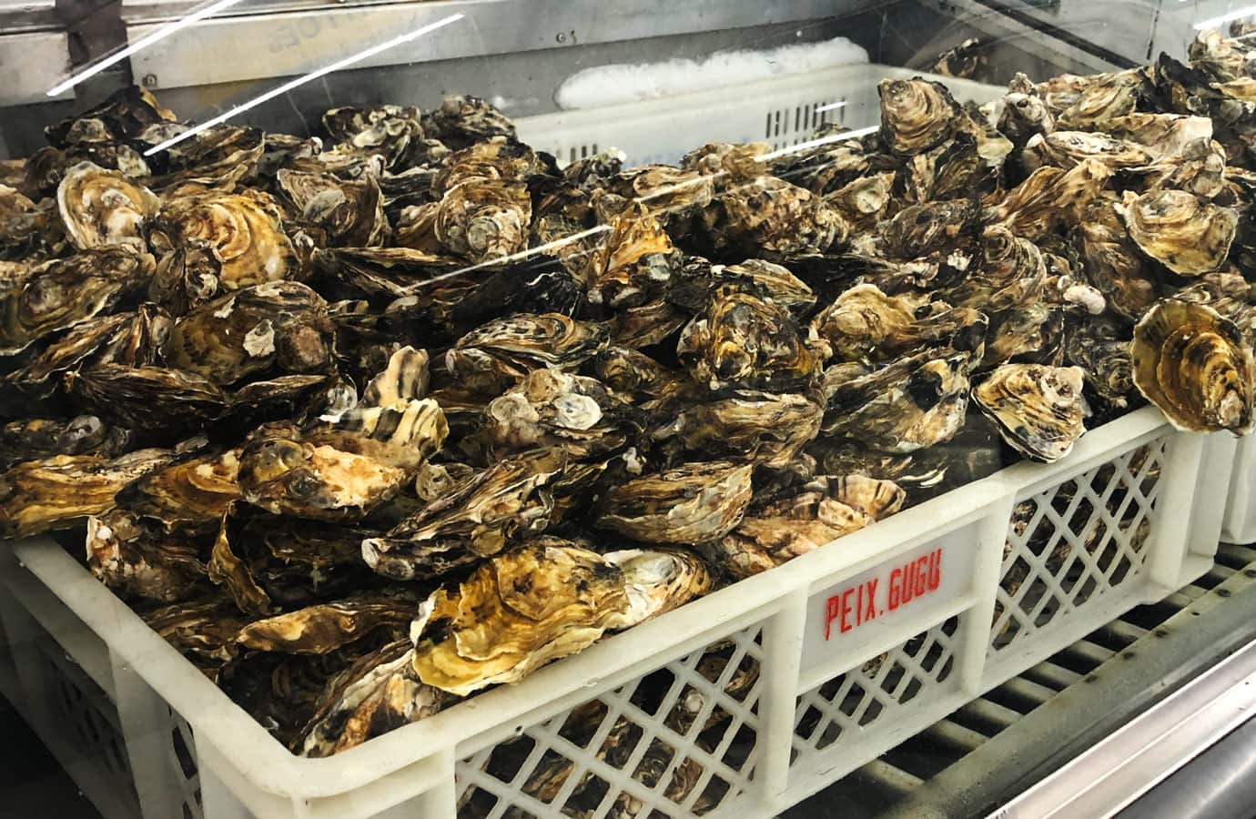 toca_das_ostras_013_peixaria