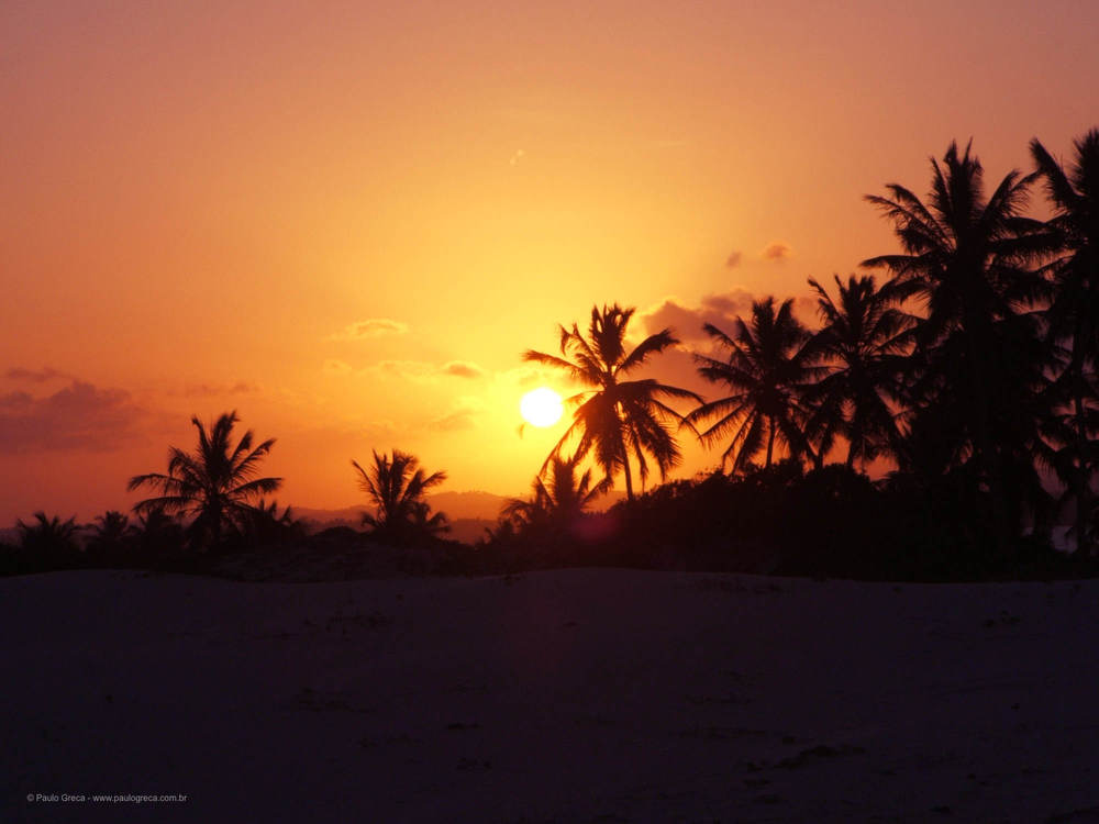 Por do sol em Mangue Seco