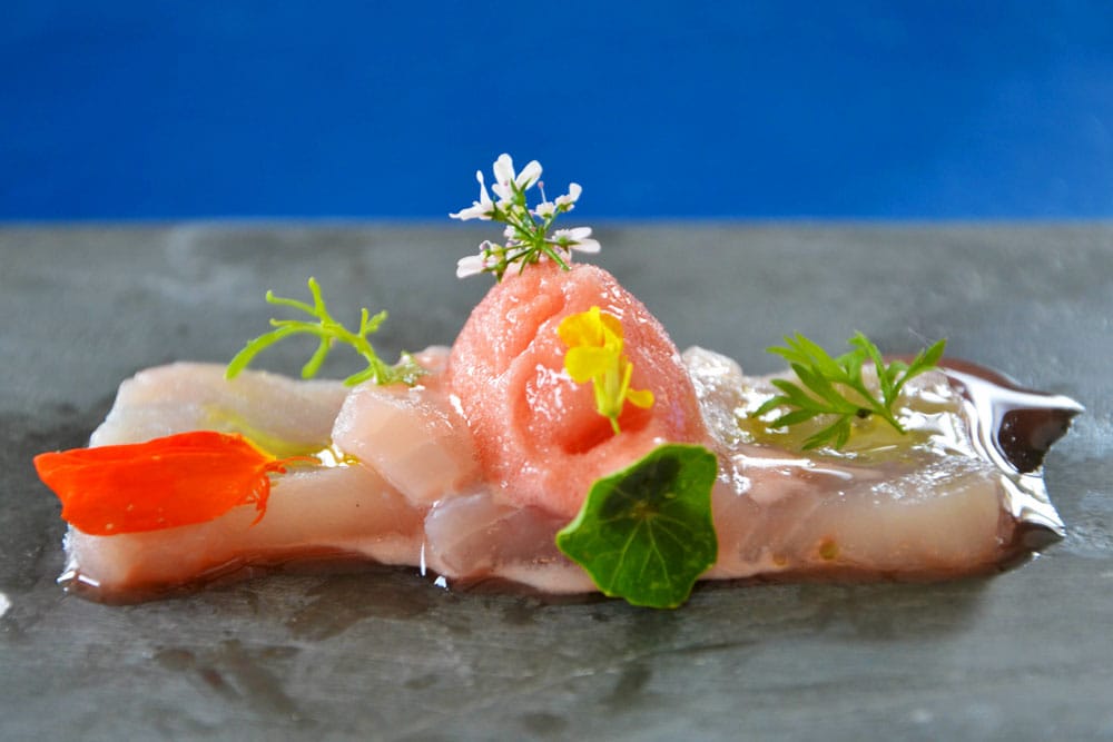 Sashimi