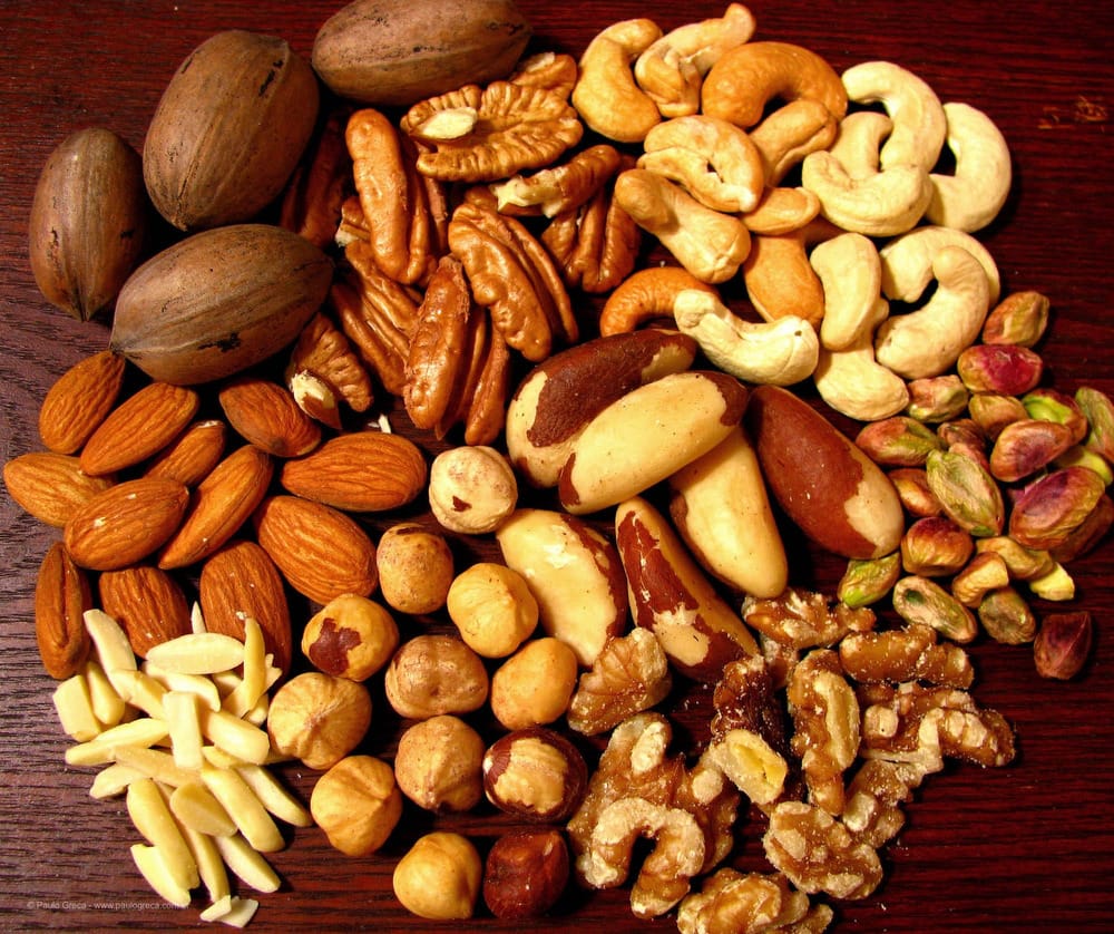 Enxaqueca - Castanhas 1