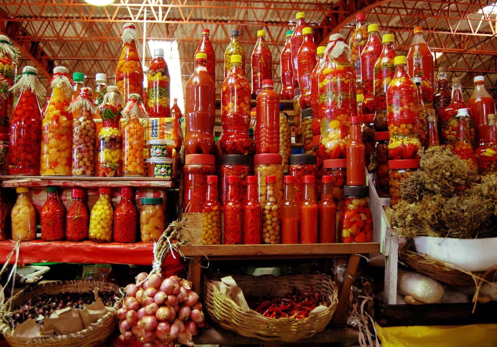 Enxaqueca - Pimenta 1