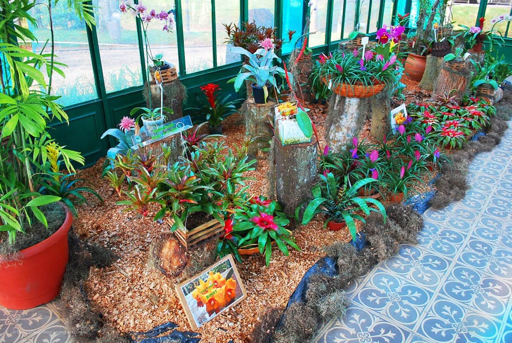 Orquidário