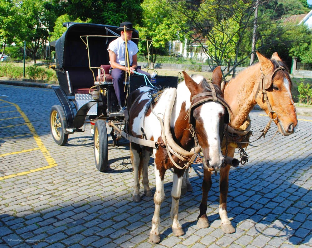 Passeio de Charrete