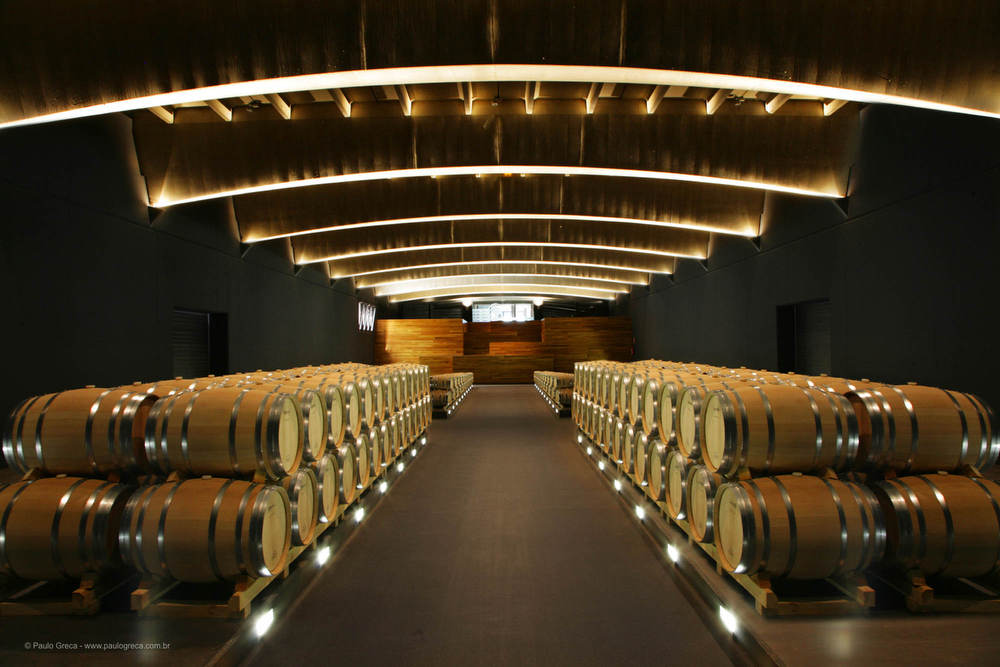 Bodega Darien - Sala de Barricas