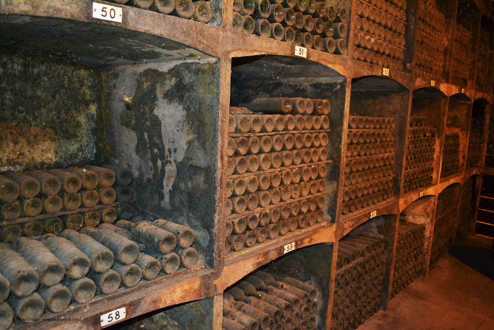 Garrafas e vinhos centenários, datados desde 1884