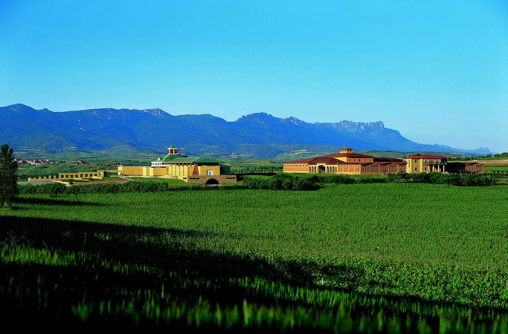 Bodegas por toda a região