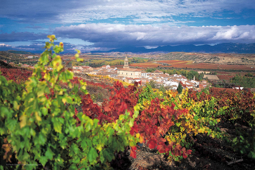 Vista de la Rioja