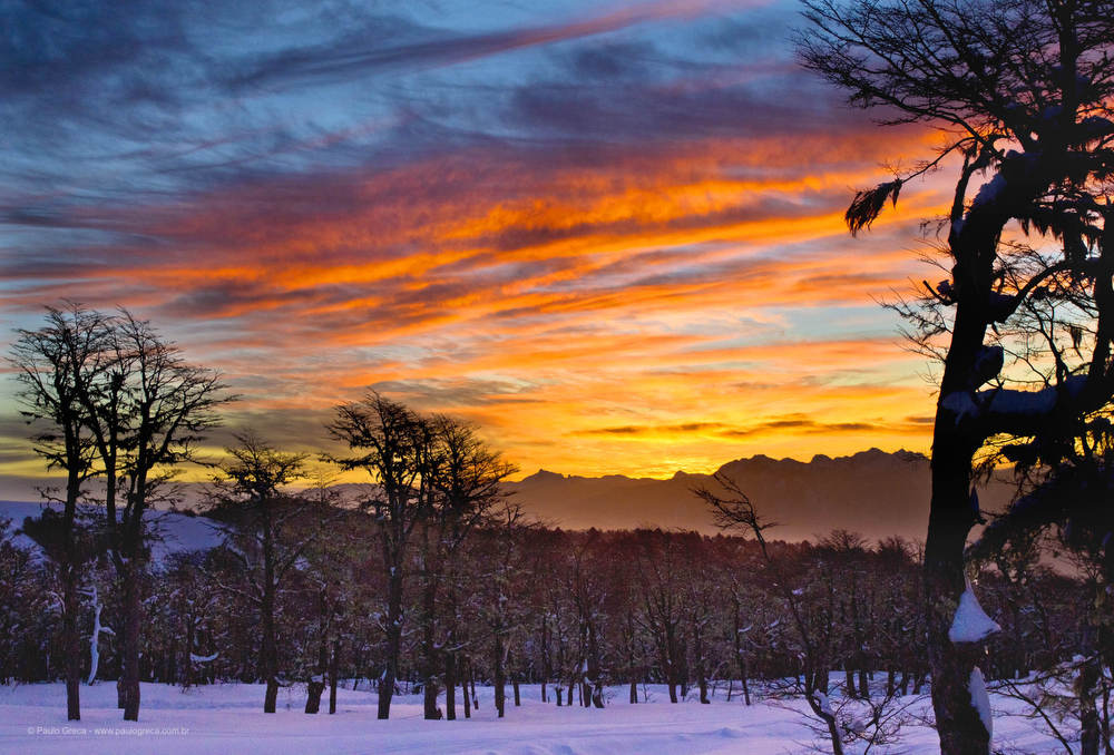 Torres del Paine - 004
